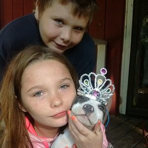 Meet your Posher, Ginger